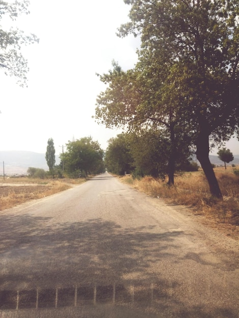 Foto camino vacío a lo largo de los árboles