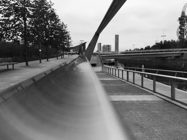 Foto camino vacío a lo largo de los árboles