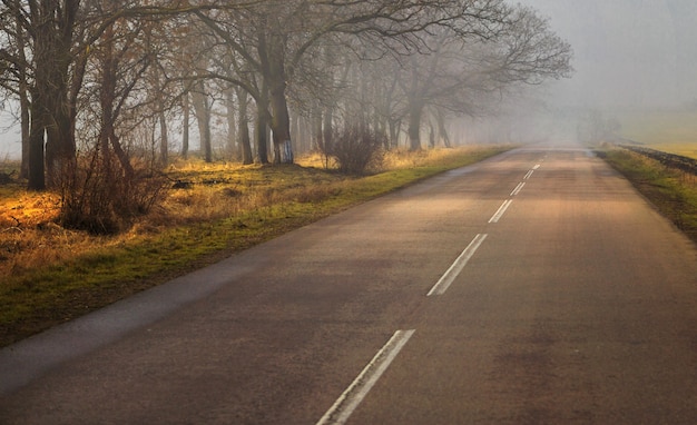 Camino vacío por la mañana en la niebla