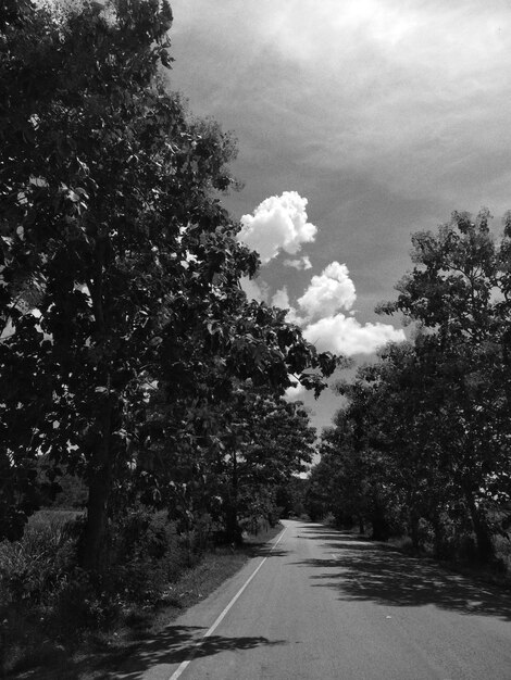 Camino vacío en medio de los árboles en el bosque contra el cielo