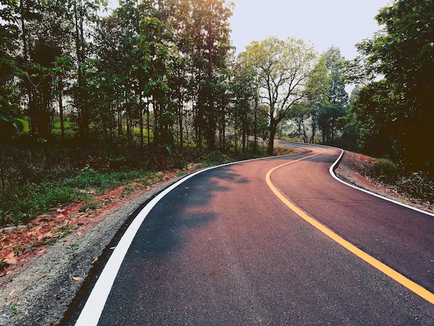 Foto camino vacío en medio de los árboles en el bosque