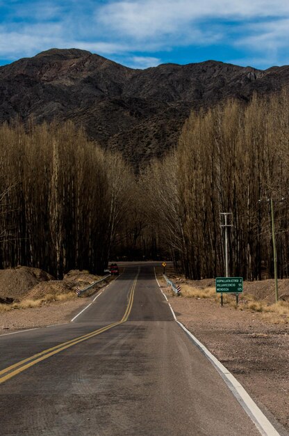 Foto camino vacío en medio de los árboles contra el cielo