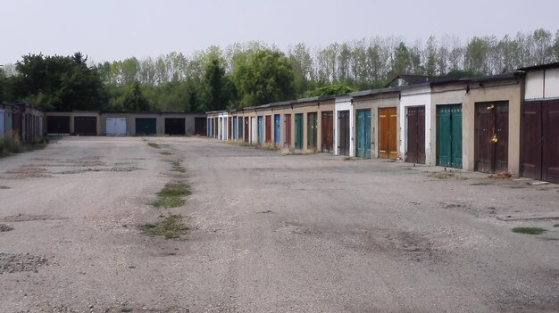 Camino vacío en medio de árboles y edificios contra el cielo