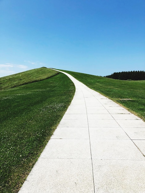 Camino vacío en medio de un campo contra un cielo despejado