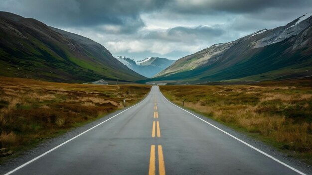 Camino vacío en medio de la naturaleza