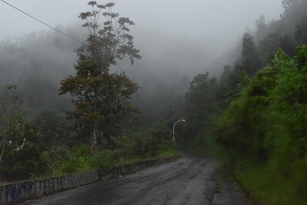 Foto camino vacío en temporada de lluvias y niebla