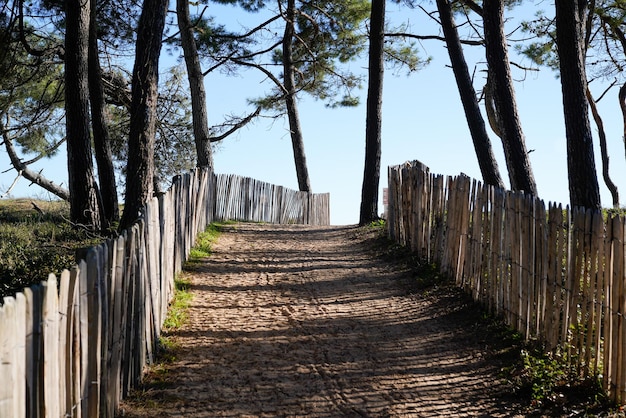 Camino valla de madera acceso paraíso playa de verano en un día soleado