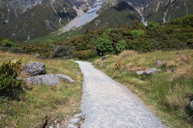 El camino en un valle