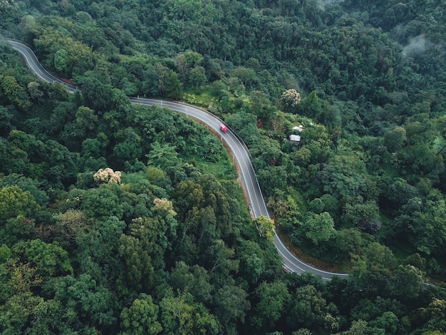 Camino verde a la montaña en la temporada de lluvias El camino en el bosque