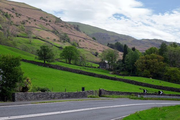 Camino entre verdes colinas en Inglaterra