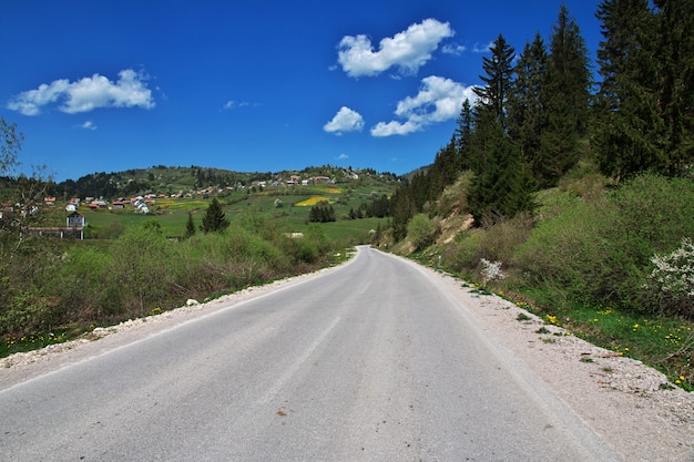 El camino en las verdes montañas de Bosnia y Herzegovina