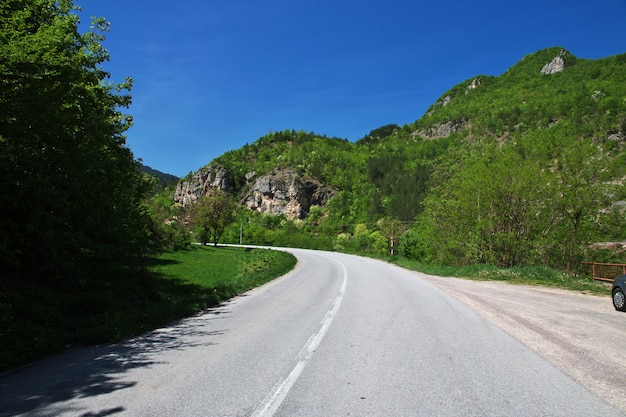 El camino en las verdes montañas de Bosnia y Herzegovina