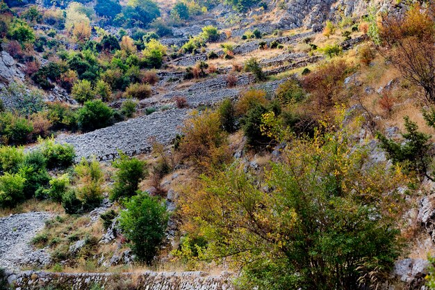 caminos de montaña