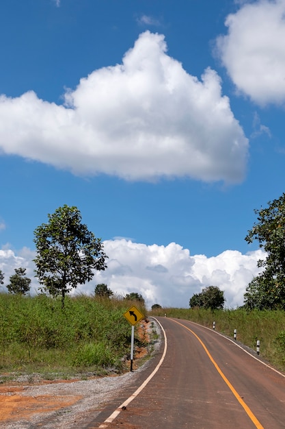 Caminos y pinos en el bosque de Thung Salaeng Luang