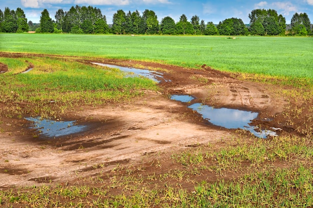 Caminos de tierra rural entre los campos Día soleado de verano Rusia