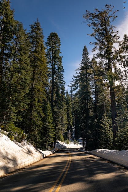 Caminos a través del Parque Nacional Sequoia en California