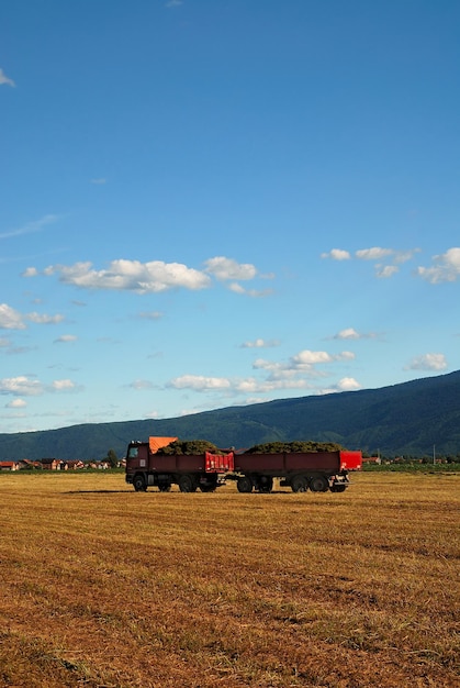 Foto camión en campo