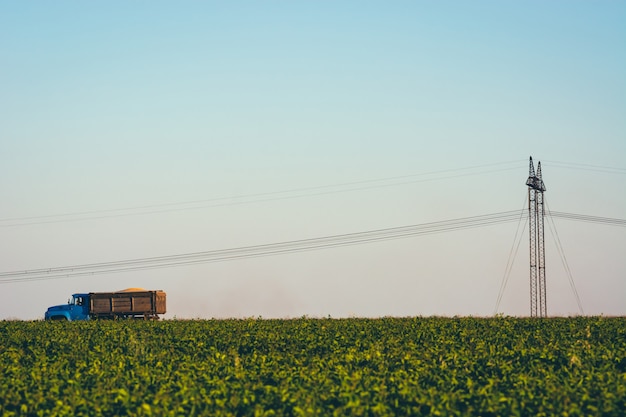 El camión cruza el campo bajo cables eléctricos. viejo camión en carretera entre hierba cerca de pilares con cables eléctricos. las líneas eléctricas pasan a través de los campos. imagen minimalista con hierba verde y cielo azul.