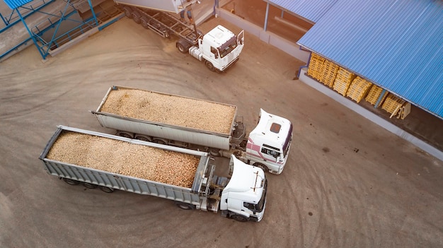 Camiones con papas en la vista superior de la fábrica de procesamiento de papas