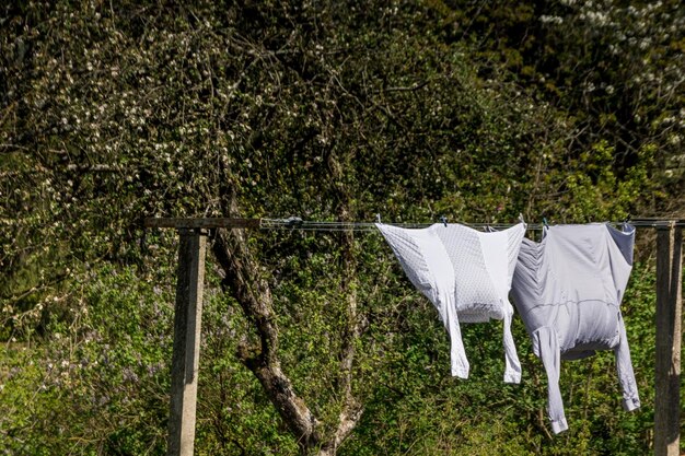 Foto camisas secándose en un cordón de la ropa