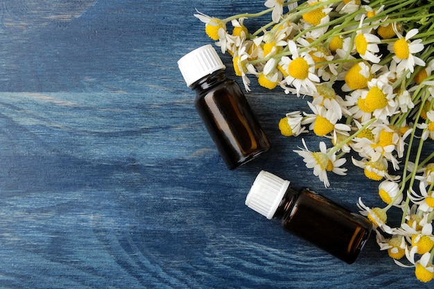 Camomila medicinal e extrato de camomila em um óleo de garrafa de aromaterapia de flores de camomila uma droga em um lugar de vista superior de mesa de madeira azul para texto