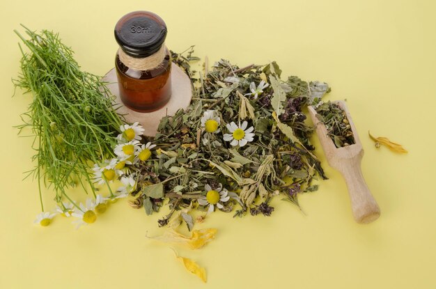 Foto camomila medicinal seca e erva de menta com uma garrafa em fundo amarelo para infusão e chá