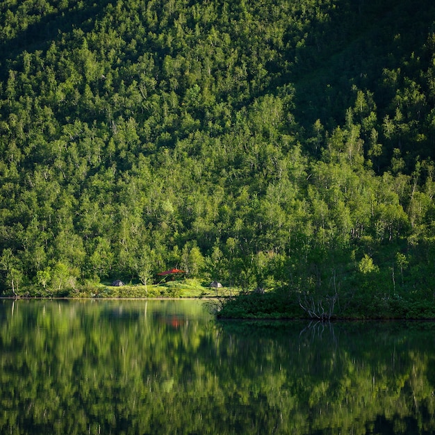 Camp Wanderer mit Zelten am Ufer eines Bergsees, im Wald