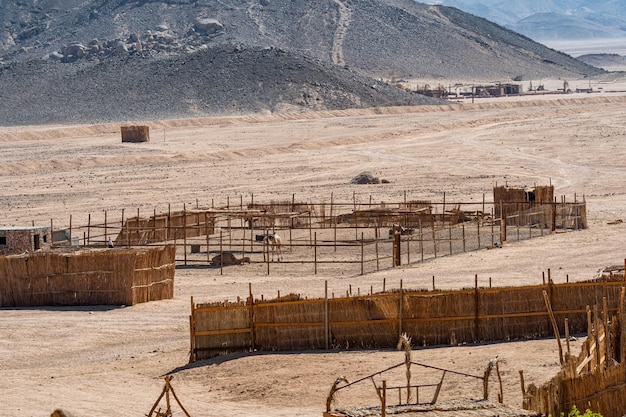 Campamento beduino en el desierto de wadi rum en jordania