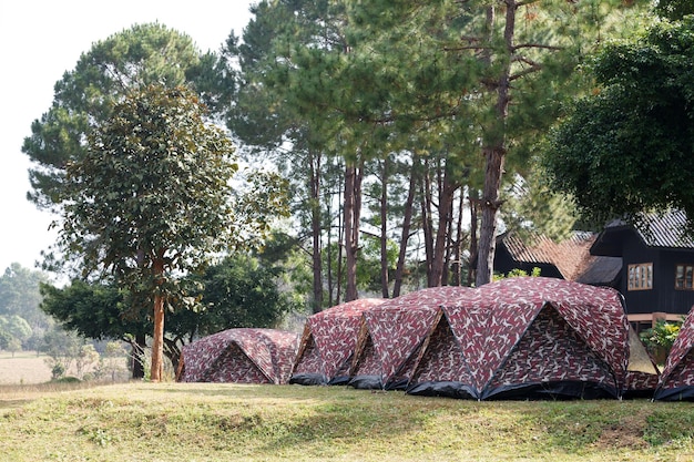 Campamento de carpa domo en el Parque Nacional Thung Salang Luang PhetchabunThailand