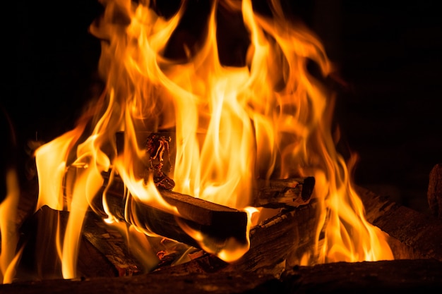 Campamento de fuego en la noche, quema de troncos de madera.