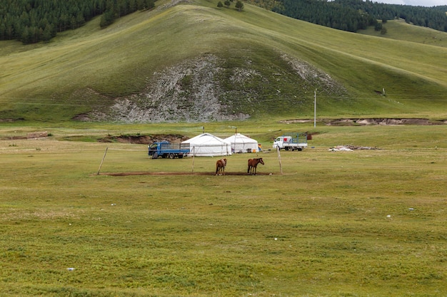 Campamento de nómadas mongoles