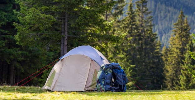 Campamento turístico en prado verde con hierba fresca en el bosque de las montañas.