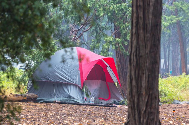 Foto el campamento