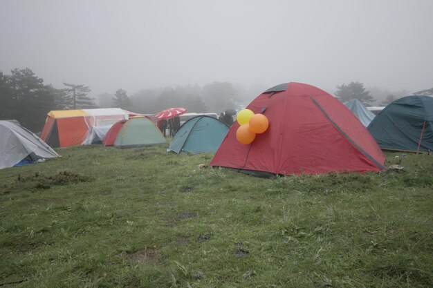 Foto campamento