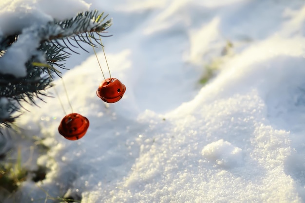 La campana roja de Navidad cuelga de una rama cubierta de nieve de un árbol de Navidad contra un fondo festivo de nieve blanca Saludo de Año Nuevo y pancarta de tarjetas navideñas