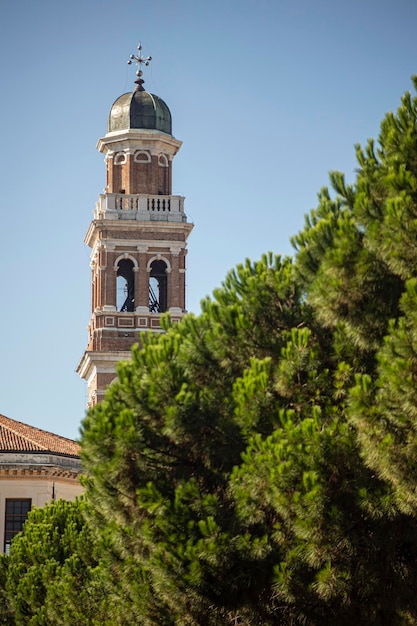 Campanario de la iglesia en los árboles