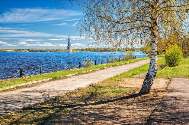 Campanário inundado em Kalyazin no Volga e bétula com folhas de primavera