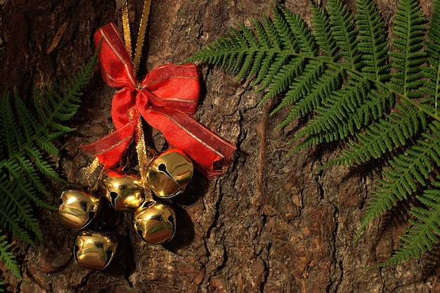 Campanas de oro en la corteza de un árbol con un helecho