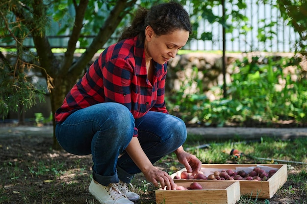 Campanha de colheita recrutando trabalhadores sazonais escolha e embale vegetais agricultura ecológica orgânica mulher agricultora