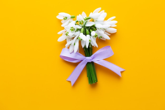 Campanilla de las nieves fresca en amarillo con lugar para el texto.