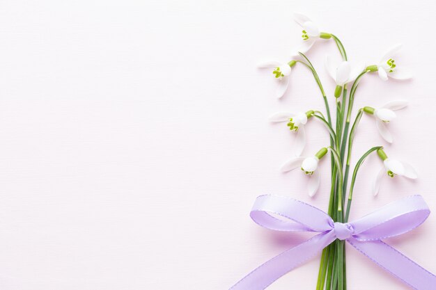 Campanillas frescas sobre fondo rosa con lugar para el texto. Tarjeta de felicitación de primavera.