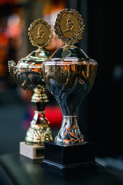 Campeón de la Copa contra un fondo oscuro en el gimnasio