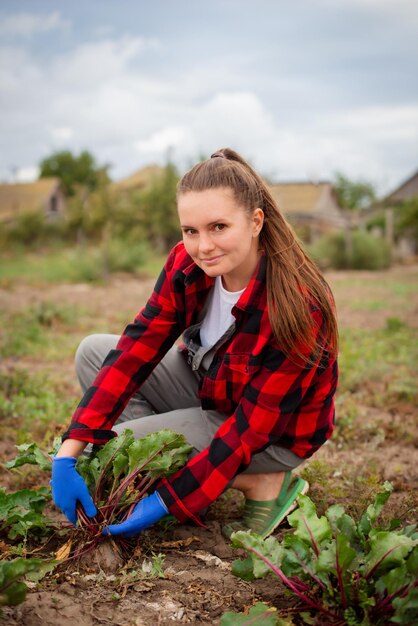 una campesina trabajadora cosecha remolachas en campos pequeña granja ecológica con productos saludables