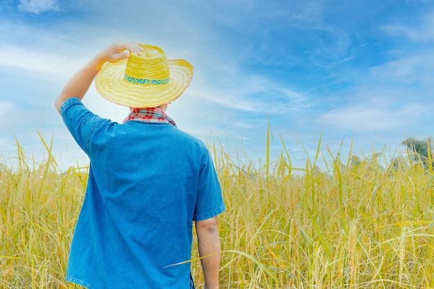 Los campesinos asiáticos con túnicas y sombreros se encuentran en un campo de arrozales dorados.