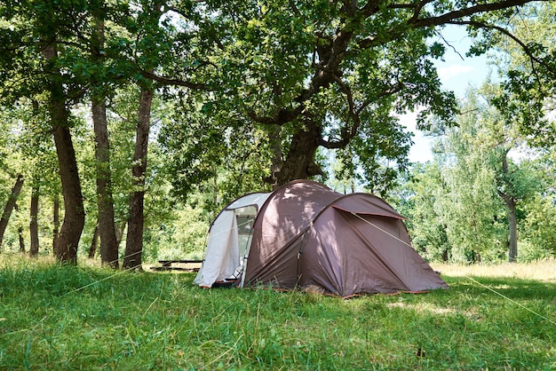 Campimg Zelt im Kiefernwald am Sommertag. Touristenlager