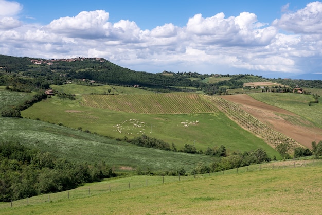 Campiña de Val dOrcia Toscana