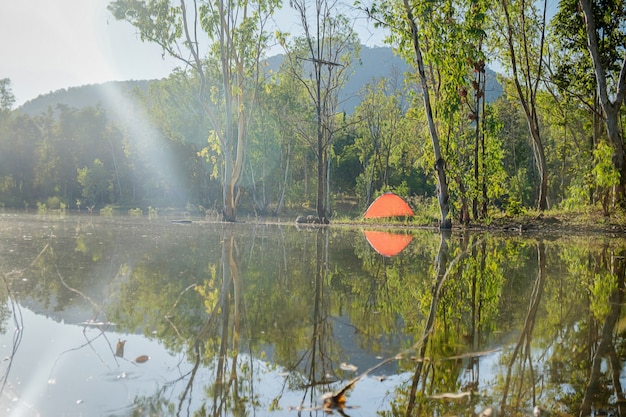 Camping en un bosque. Escena de la mañana con la tienda de campaña en el bosque verde cerca del lago