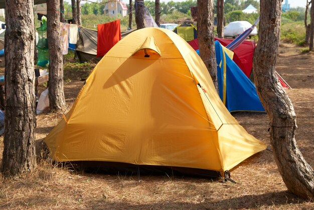 Camping en el bosque con muchas carpas.