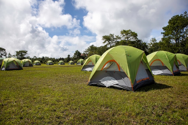 Camping y carpa en la naturaleza en verano.