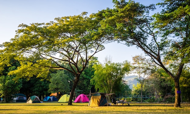 Camping y carpa en parque natural con arboles verdes